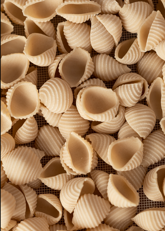 Artisan pasta shells