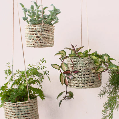 Hanging Plant Baskets