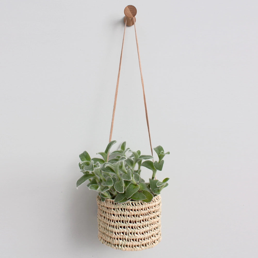 Hanging Plant Baskets