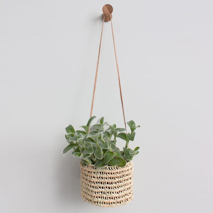 Hanging Plant Baskets