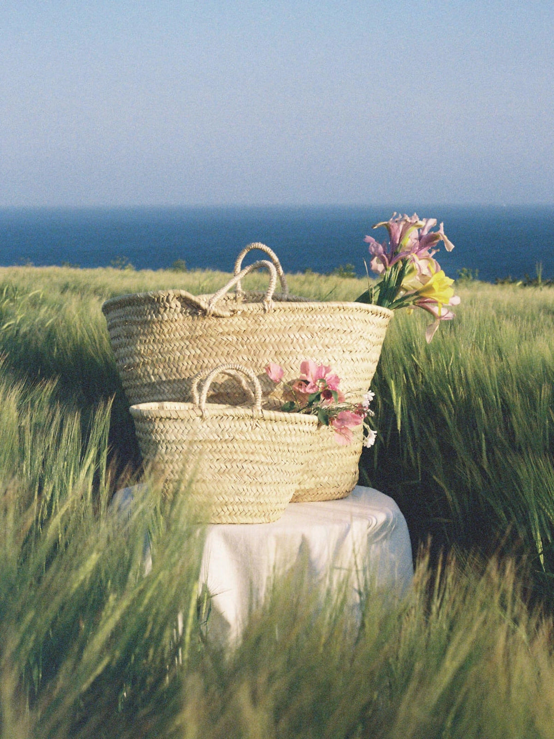 Market shopping basket